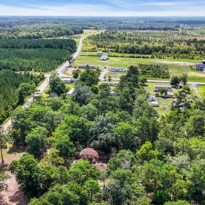 Aerial view of a forest