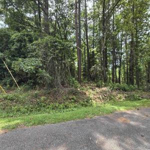 Photo #2 of 1051 Irene Ct., Conway, SC 0.7 acres