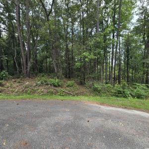 Photo #1 of 1051 Irene Ct., Conway, SC 0.7 acres