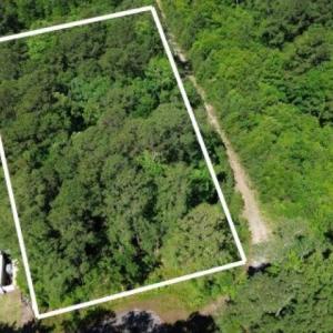 Photo #5 of 1051 Irene Ct., Conway, SC 0.7 acres