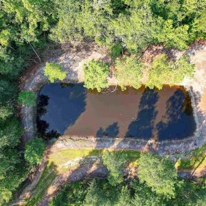 Photo #4 of TBD Cartwheel Rd., Mullins, SC 29.8 acres