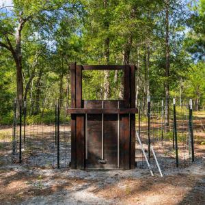 Photo #8 of TBD Cartwheel Rd., Mullins, SC 29.8 acres