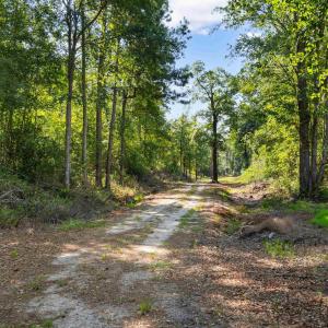 Photo #10 of TBD Cartwheel Rd., Mullins, SC 29.8 acres