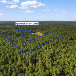 Photo #14 of TBD Cartwheel Rd., Mullins, SC 29.8 acres