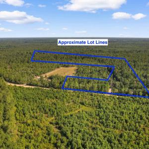 Photo #13 of TBD Cartwheel Rd., Mullins, SC 29.8 acres