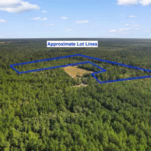 Photo #19 of TBD Cartwheel Rd., Mullins, SC 29.8 acres