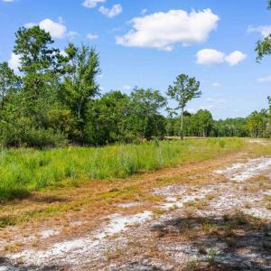 Photo #12 of TBD Cartwheel Rd., Mullins, SC 29.8 acres