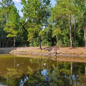 Photo #3 of TBD Cartwheel Rd., Mullins, SC 29.8 acres