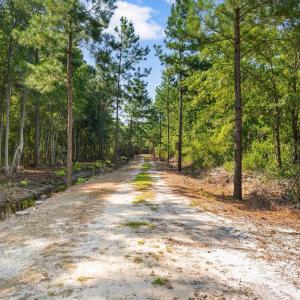 Photo #11 of TBD Cartwheel Rd., Mullins, SC 29.8 acres