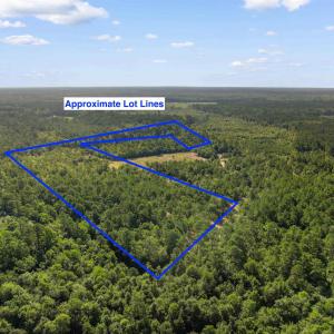 Photo #17 of TBD Cartwheel Rd., Mullins, SC 29.8 acres