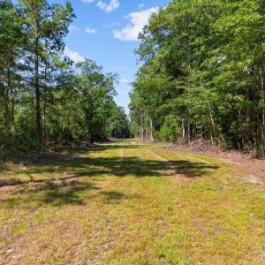 Photo #9 of TBD Cartwheel Rd., Mullins, SC 29.8 acres
