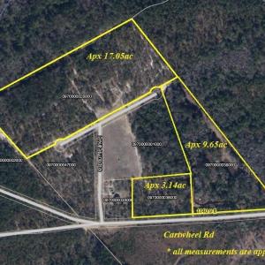 Photo #1 of TBD Cartwheel Rd., Mullins, SC 29.8 acres
