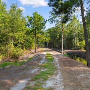 Photo #6 of TBD Cartwheel Rd., Mullins, SC 29.8 acres