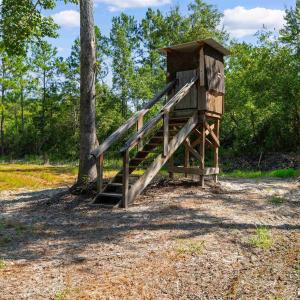 Photo #7 of TBD Cartwheel Rd., Mullins, SC 29.8 acres