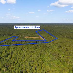 Photo #15 of TBD Cartwheel Rd., Mullins, SC 29.8 acres