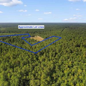 Photo #16 of TBD Cartwheel Rd., Mullins, SC 29.8 acres