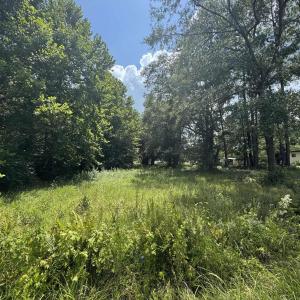 Photo #6 of tbd Society Dr., Conway, SC 5.6 acres