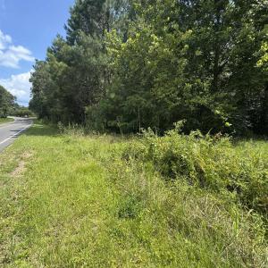 Photo #1 of tbd Society Dr., Conway, SC 5.6 acres