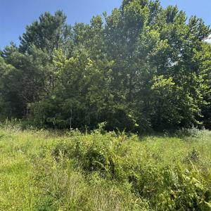 Photo #3 of tbd Society Dr., Conway, SC 5.6 acres