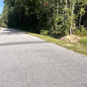 Photo #2 of Edgewood Dr., Dillon, SC 0.7 acres