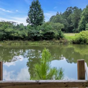 Photo #7 of 15.34 acres Whispering Hills Rd., Loris, SC 15.3 acres