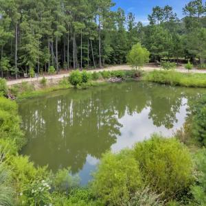 Photo #5 of 15.34 acres Whispering Hills Rd., Loris, SC 15.3 acres