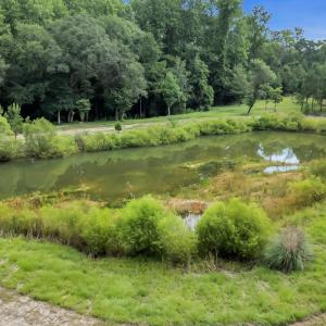 Photo #6 of 15.34 acres Whispering Hills Rd., Loris, SC 15.3 acres