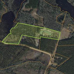 Photo #15 of 15.34 acres Whispering Hills Rd., Loris, SC 15.3 acres