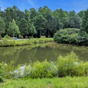 Photo #4 of 15.34 acres Whispering Hills Rd., Loris, SC 15.3 acres