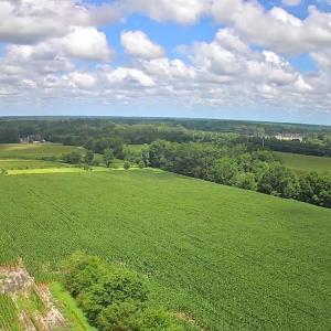 Overview of rural landscape with farmland