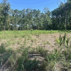 Photo #4 of 722 Romain Rd., McClellanville, SC 1.2 acres