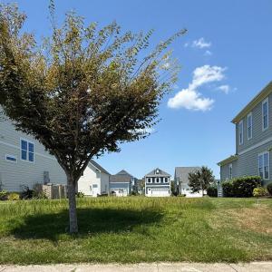 View of yard featuring a residential view