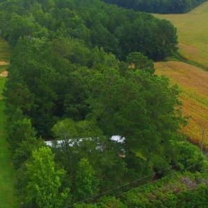 View of rural area with a forest