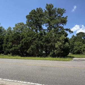 Photo #8 of 2187 Armview Rd., Loris, SC 4.4 acres