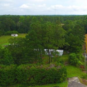 Drone / aerial view of a forest
