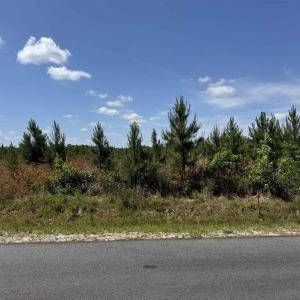 Photo #9 of 4782 Grainger Circle, Green Sea, SC 7.7 acres