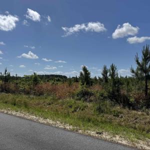 Photo #15 of 4782 Grainger Circle, Green Sea, SC 7.7 acres