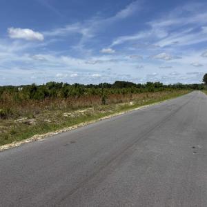 Photo #11 of 4782 Grainger Circle, Green Sea, SC 7.7 acres