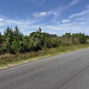 Photo #17 of 4782 Grainger Circle, Green Sea, SC 7.7 acres