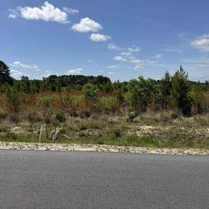 Photo #13 of 4782 Grainger Circle, Green Sea, SC 7.7 acres