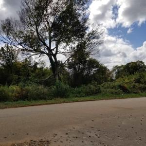 Photo #2 of Leonard Rd., Duncan, SC 3.5 acres