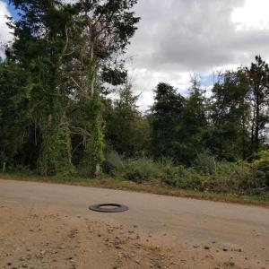 Photo #1 of Leonard Rd., Duncan, SC 3.5 acres