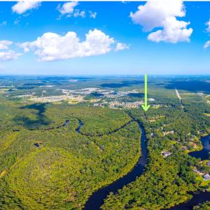 Drone / aerial view of a forest and a large body o