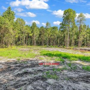 Photo #2 of Lot 1 Coats Rd., Loris, SC 2.3 acres
