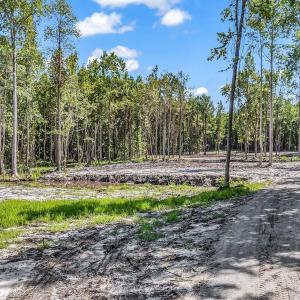 View of dirt / gravel road featuring a wooded view