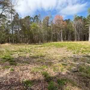 Photo #9 of Lot 1 Coats Rd., Loris, SC 2.3 acres