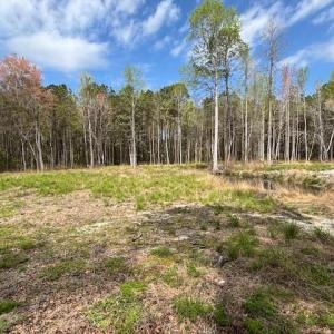 Photo #8 of Lot 1 Coats Rd., Loris, SC 2.3 acres
