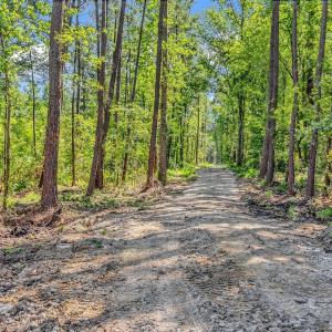 Photo #4 of Lot 2 Coats Rd., Loris, SC 1.4 acres