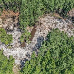 Photo #3 of Lot 2 Coats Rd., Loris, SC 1.4 acres