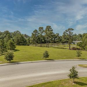 Photo #14 of Tract 4 Community Dr., Conway, SC 4.2 acres